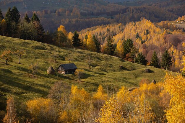 Paisagem colorida do outono na aldeia de montanha. Manhã de neblina nas montanhas dos Cárpatos em Roma