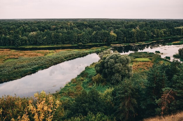 Paisagem com árvores e rio