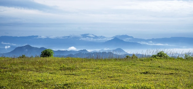 paisagem com árvores, montanhas e nuvens