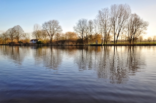 Paisagem com árvores refletidas na água do lago