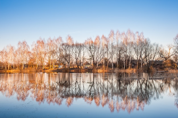 Paisagem com árvores refletidas na água e no céu azul