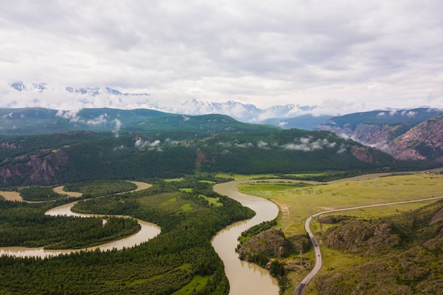 Paisagem com bela floresta com rio de montanha