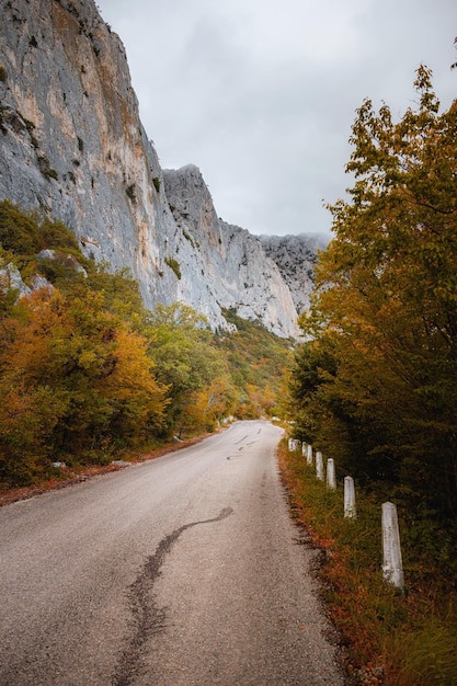 Paisagem com belas árvores de rochas altas da estrada de montanha vazia e céu nublado