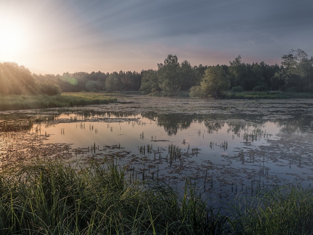 Paisagem com belos raios de sol sobre o pântano do norte