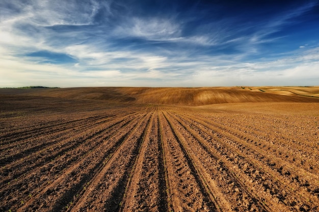 Paisagem com campos e colinas