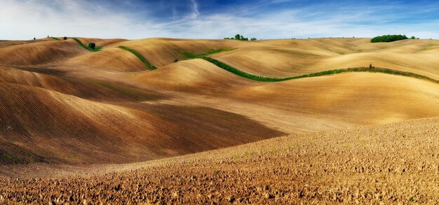 Paisagem com campos e colinas