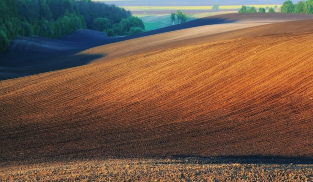 Paisagem com campos e colinas