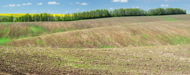 Paisagem com campos e colinas