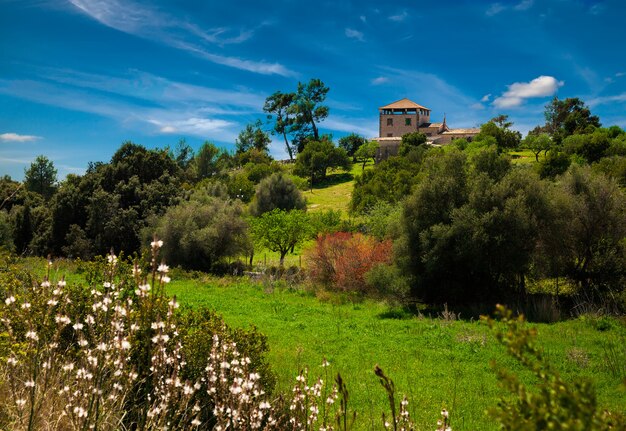 Paisagem com casa de campo