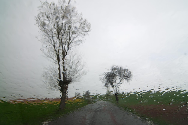 Paisagem com chuva e árvores de dentro do carro