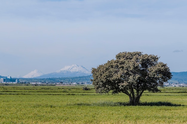 Paisagem com dois dos mais famosos vulcões mexicanos, popocatepetl e o vulcão iztaccihuatl