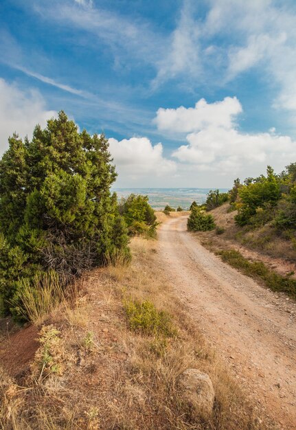 Paisagem com estrada de montanha