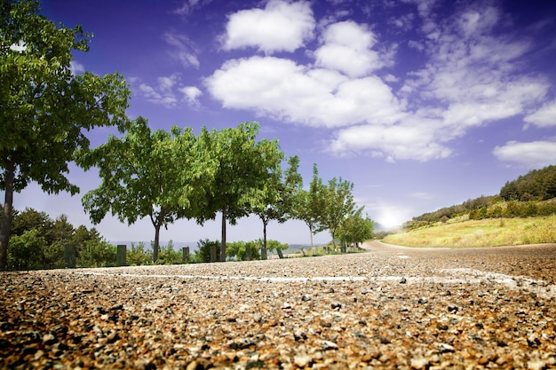 Paisagem com estrada e árvores.