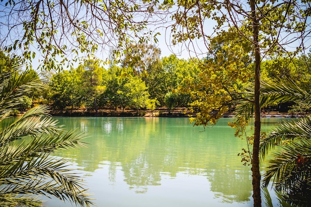 paisagem com florestas e lago natural em Valência, Espanha