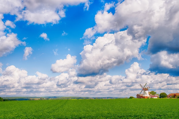 Paisagem com grama verde, céu nublado e moinho de vento