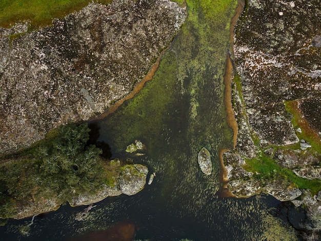 Paisagem com lagoa em dehesa de la luz extremadura espanha