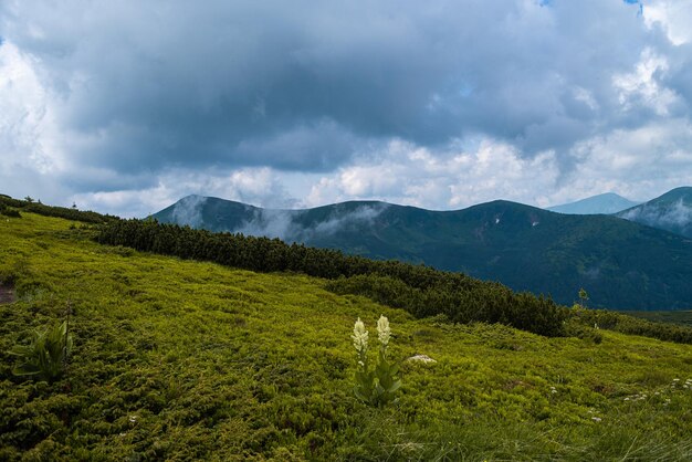 Paisagem com montanhas e nuvens. rochas. destino turístico para caminhadas