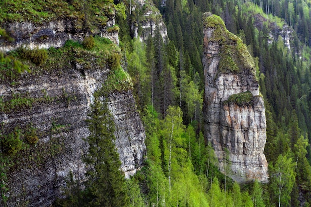 Paisagem com penhascos íngremes em meio à floresta sem céu no rio Usva Médios Urais Rússia