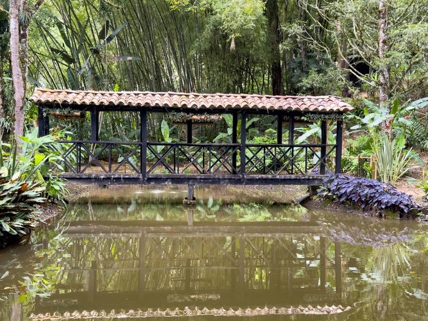 Foto paisagem com ponte de madeira