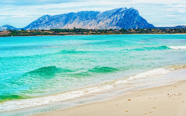 Paisagem com praia de La Cinta e mar Mediterrâneo e ilha de Tavolara na Sardenha na Itália no verão. Vista da paisagem na praia da Sardenha na Sardenha. província de Ólbia. Mídia mista.