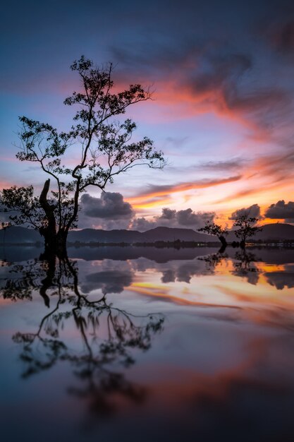 Paisagem com reflexão da árvore da silhueta única no por do sol.