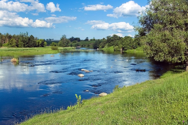 Paisagem com rio com as margens verdes