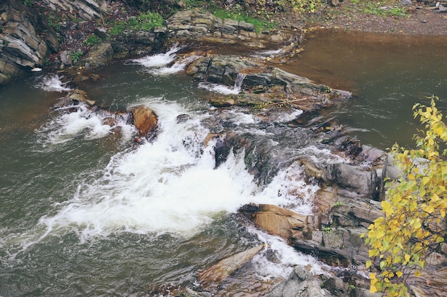 Paisagem com rio e pedras da floresta