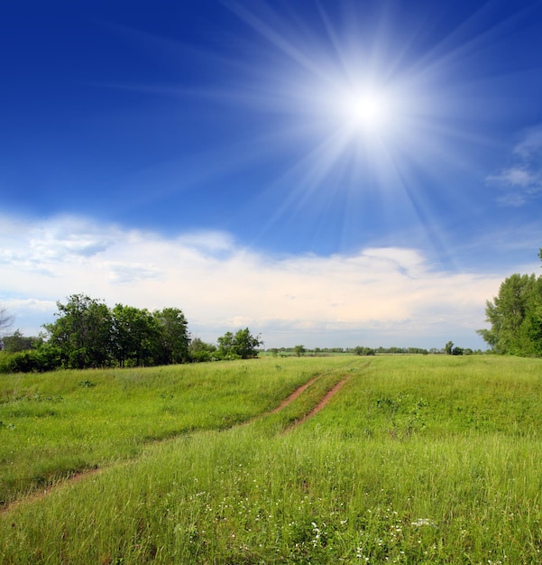 Paisagem com trilha no campo