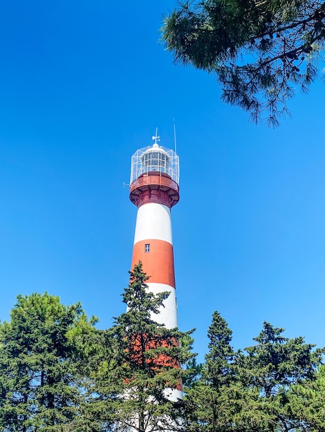 Paisagem com um farol branqueado em uma cidade portuária entre as árvores em um dia de verão Poti Georgia