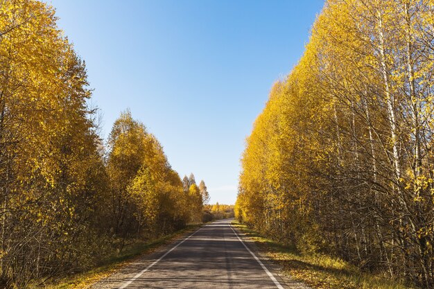 Paisagem com uma estrada deserta de outono em um dia ensolarado e quente