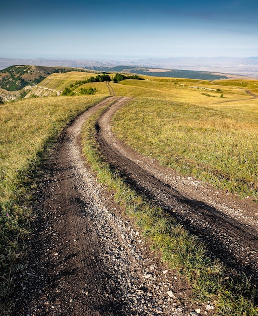 Paisagem com uma estrada em um campo nas montanhas com flores silvestres e grama em um dia ensolarado de verão