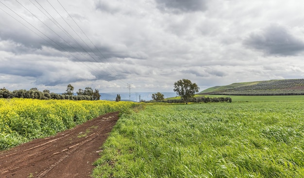 Paisagem com uma estrada no norte de Israel