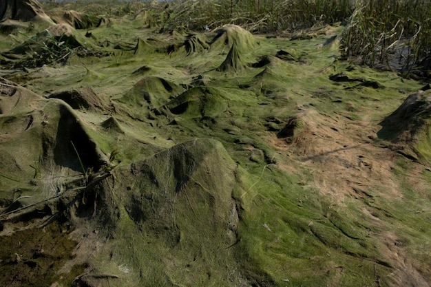 paisagem cósmica de lama resultante após a maré baixa do nível da água