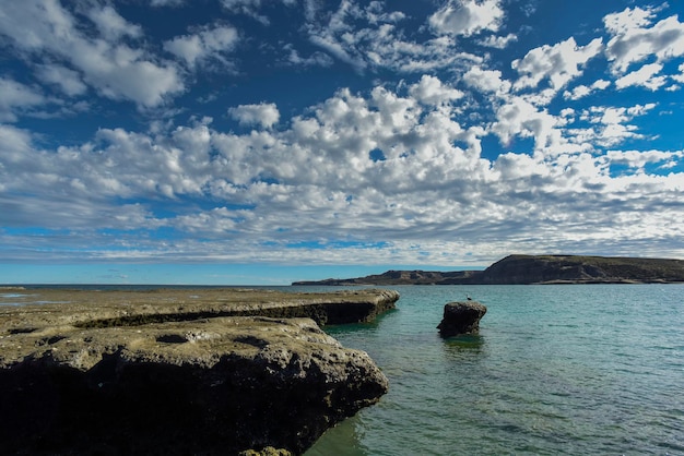 Paisagem costeira com falésias na Península Valdés Património Mundial Patagônia Argentina