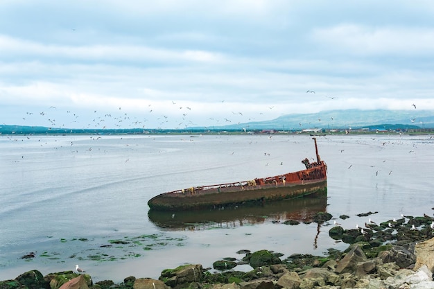 Paisagem costeira com um naufrágio enferrujado em primeiro plano e uma baía marítima com gaivotas ao fundo