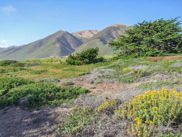 paisagem costeira idílica na Califórnia