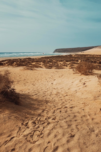 Paisagem da bela praia de areia no verão. conceito de férias de férias. dunas de areia e oceano no fundo com céu azul