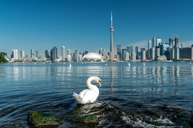 Paisagem da cidade de toronto, canadá