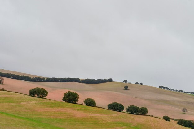 Paisagem da dehesa cerealistica das montanhas orientais de Granada - Espanha