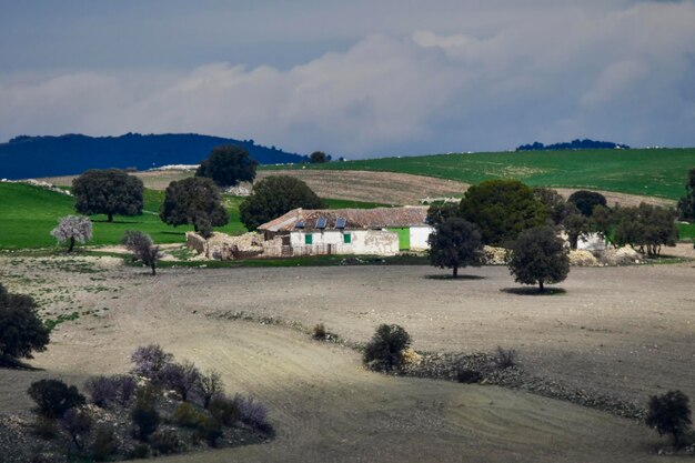 Paisagem da dehesa cerealistica das montanhas orientais de Granada - Espanha