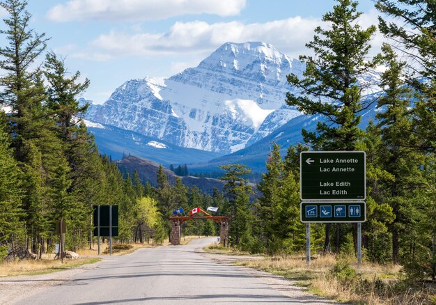 Paisagem da estrada rural das Montanhas Rochosas canadenses Floresta e montanha ao fundo Jasper National Park