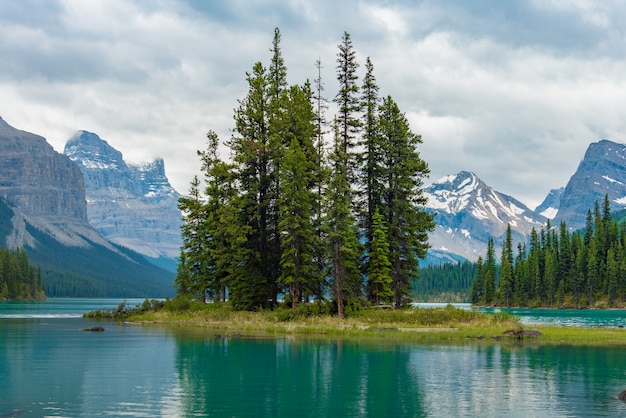 Paisagem da floresta de Canadá da ilha do espírito com a montanha grande no fundo, Alberta, Canadá.