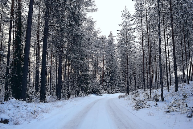 paisagem da floresta de inverno coberta de neve, dezembro, natal, natureza, fundo branco