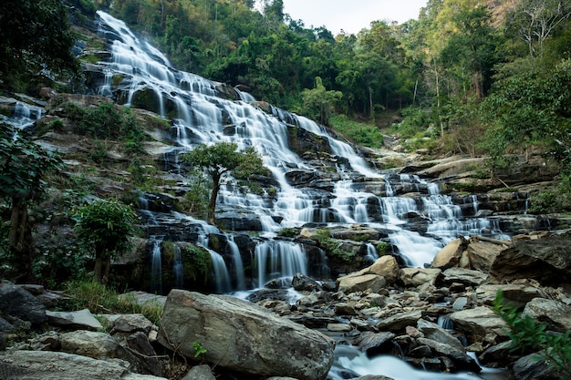 Paisagem da floresta tropical da natureza de Mae Ya Waterfall In Chiang Mai.