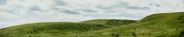 Paisagem da grama verde em uma encosta com céu azul e nuvens ao fundo Linda paisagem natural das colinas do campo