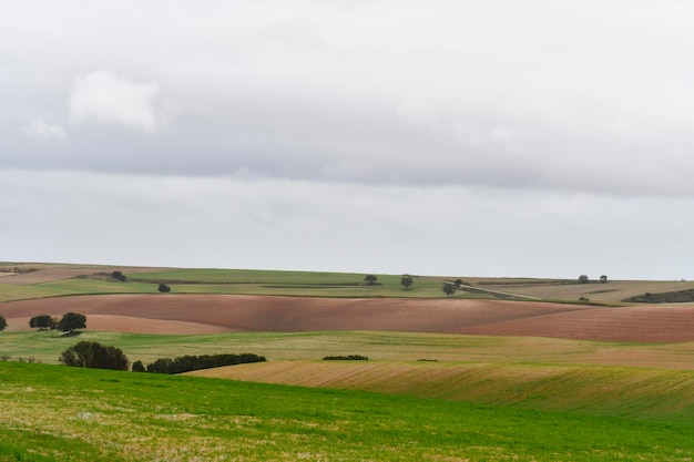 Paisagem da hehesa cerealistica das montanhas orientais de Granada - Espanha