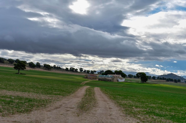 Paisagem da hehesa cerealistica das montanhas orientais de Granada - Espanha