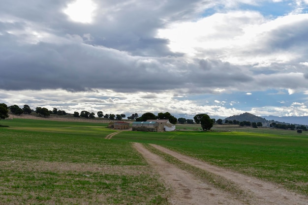 Paisagem da hehesa cerealistica das montanhas orientais de Granada - Espanha