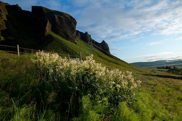 Paisagem da Islândia com belas planícies