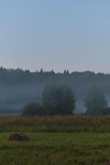 Paisagem da manhã fora da cidade Conceito de viagem na Rússia Natureza de verão da região de Moscou